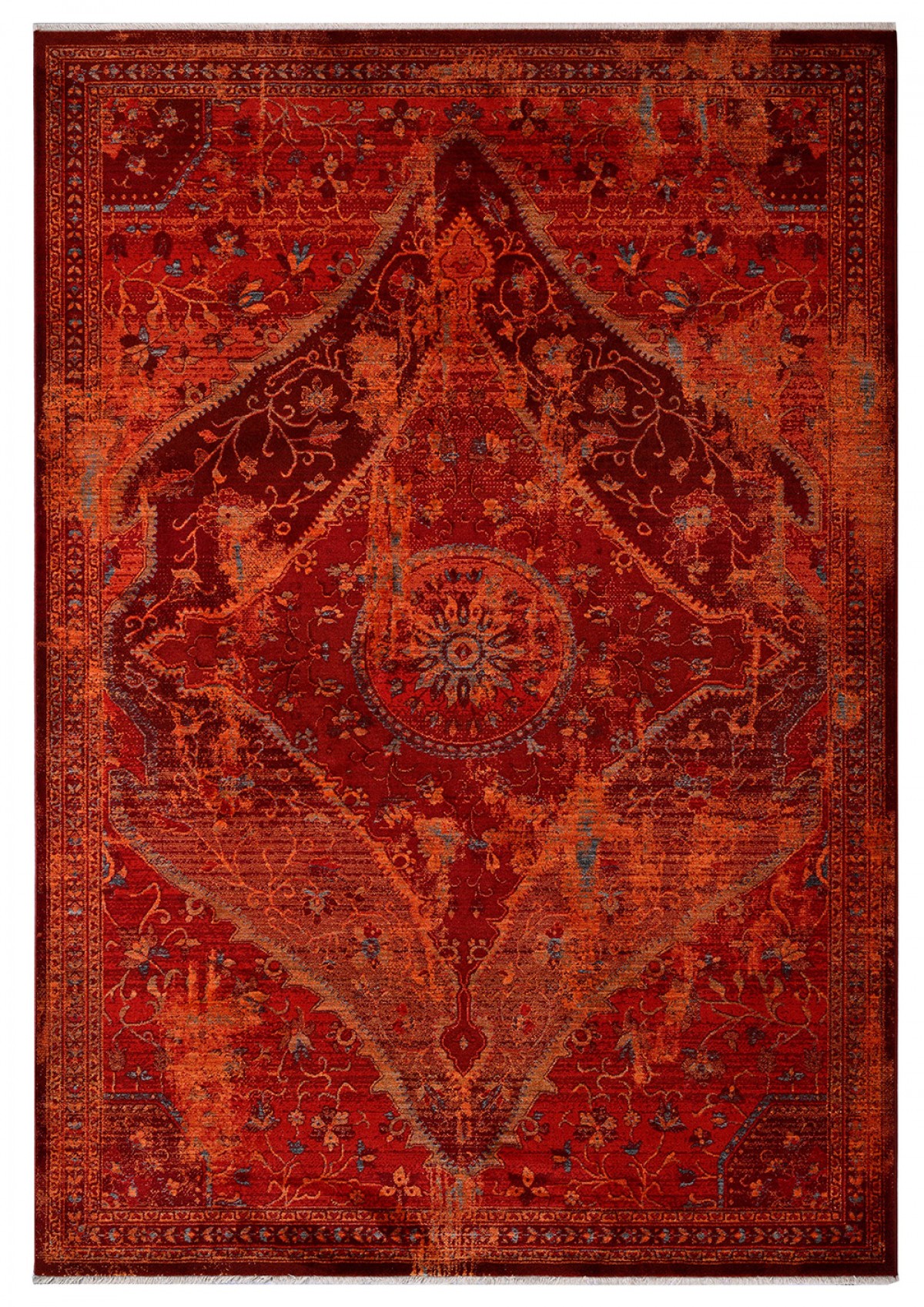 NL_0232_REDROSE NL_0232_REDROSE